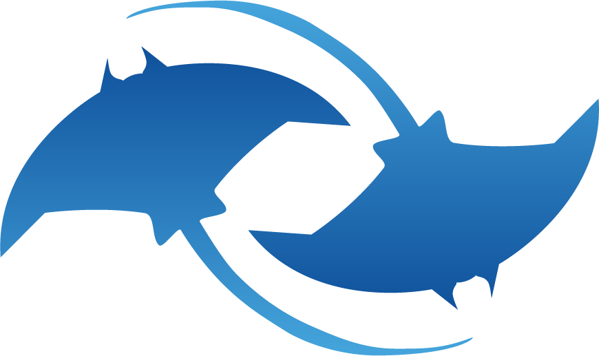 Logo Velmanta